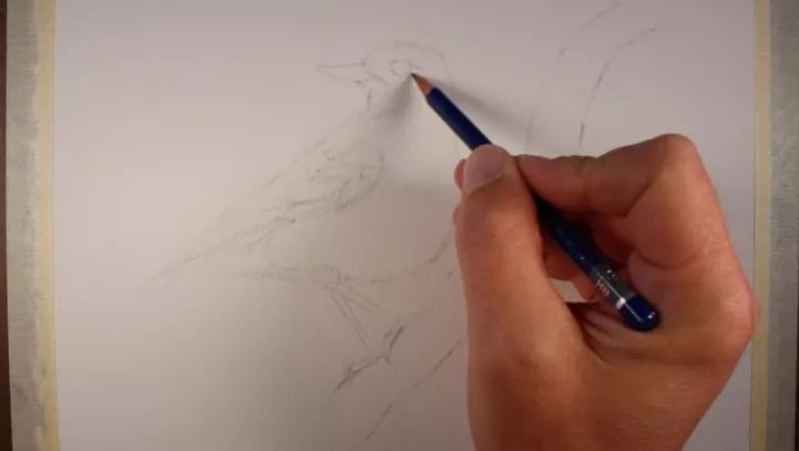 水彩教程：春天到了，我们来画一只鸟