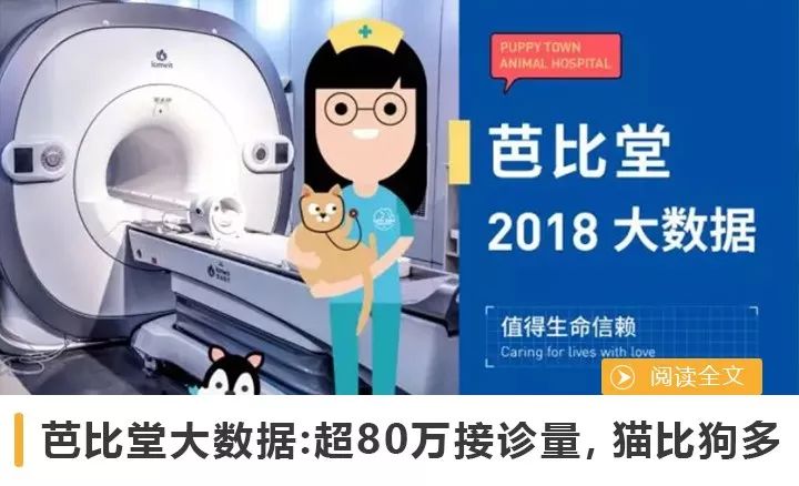 艾媒報告：2018年中國寵物行業達1708億，近八成用戶視寵物為孩子或親人 未分類 第16張