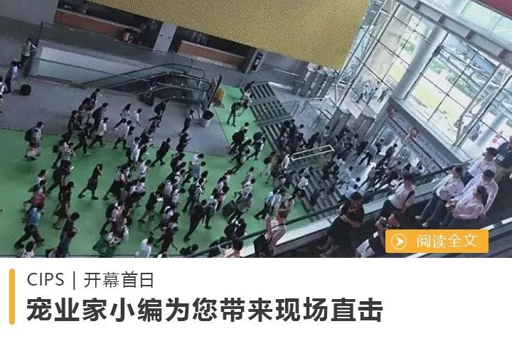 獨家專訪 | 中寵郝忠禮：下一個增長點聚焦國內，重點發力主糧市場 萌寵 第11張