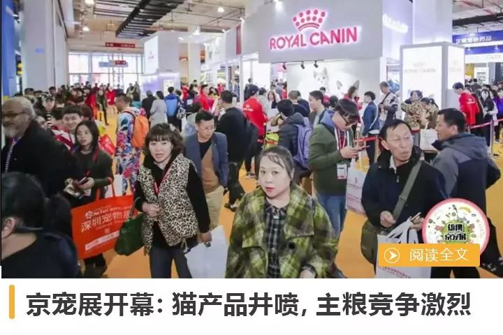 中國第二個10萬+寵物展誕生 未分類 第10張