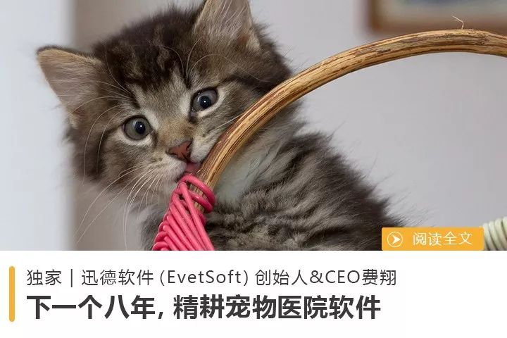 獨家乾貨 | 中國寵物醫院格局巨變，行業首家獨角獸誕生記 萌寵 第11張