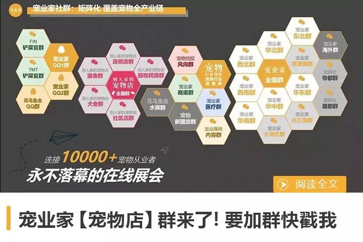 首個在鳥巢開的寵物發布會，佩蒂準備搞什麼事情？ 寵物 第7張