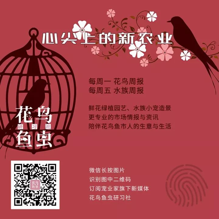 寵業簡報｜美團&智聯發布新職業報告：寵物醫生平均月收入最高；海大寵物食品1.2億威海工廠正式投產 萌寵 第10張