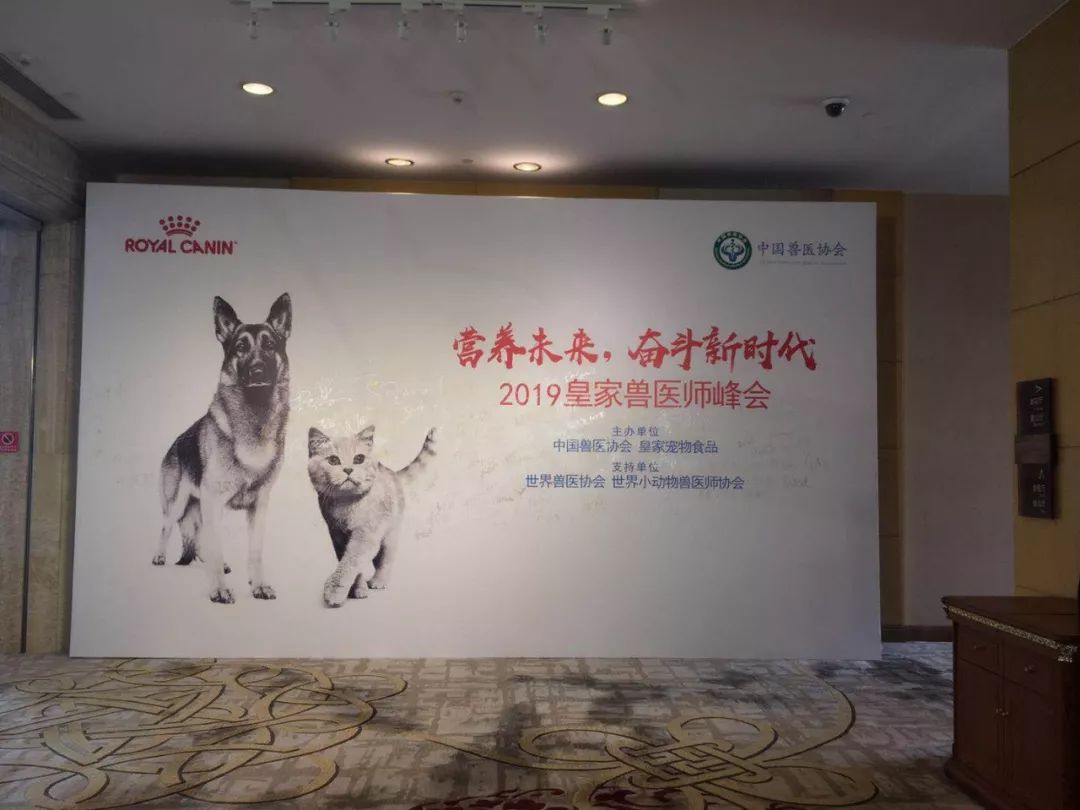 皇家獸醫師峰會今開幕，簽署中國小動物獸醫人才發展共建備忘錄 未分類 第3張