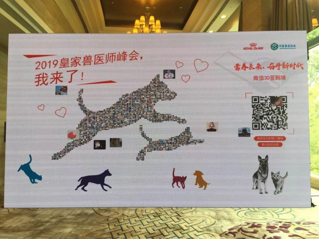 皇家獸醫師峰會今開幕，簽署中國小動物獸醫人才發展共建備忘錄 未分類 第4張