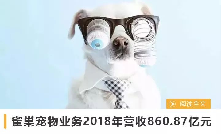 寵業簡報 | 愛德士2018財年淨利3.77億美元；澳洲寵物狗日托中心流行 未分類 第8張
