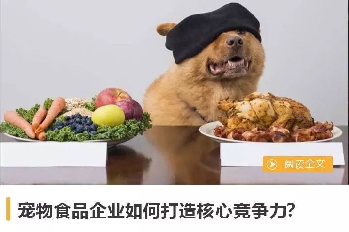 京寵展開幕前搞了個中國寵物產業發展大會，哪些乾貨不容錯過？ 未分類 第15張