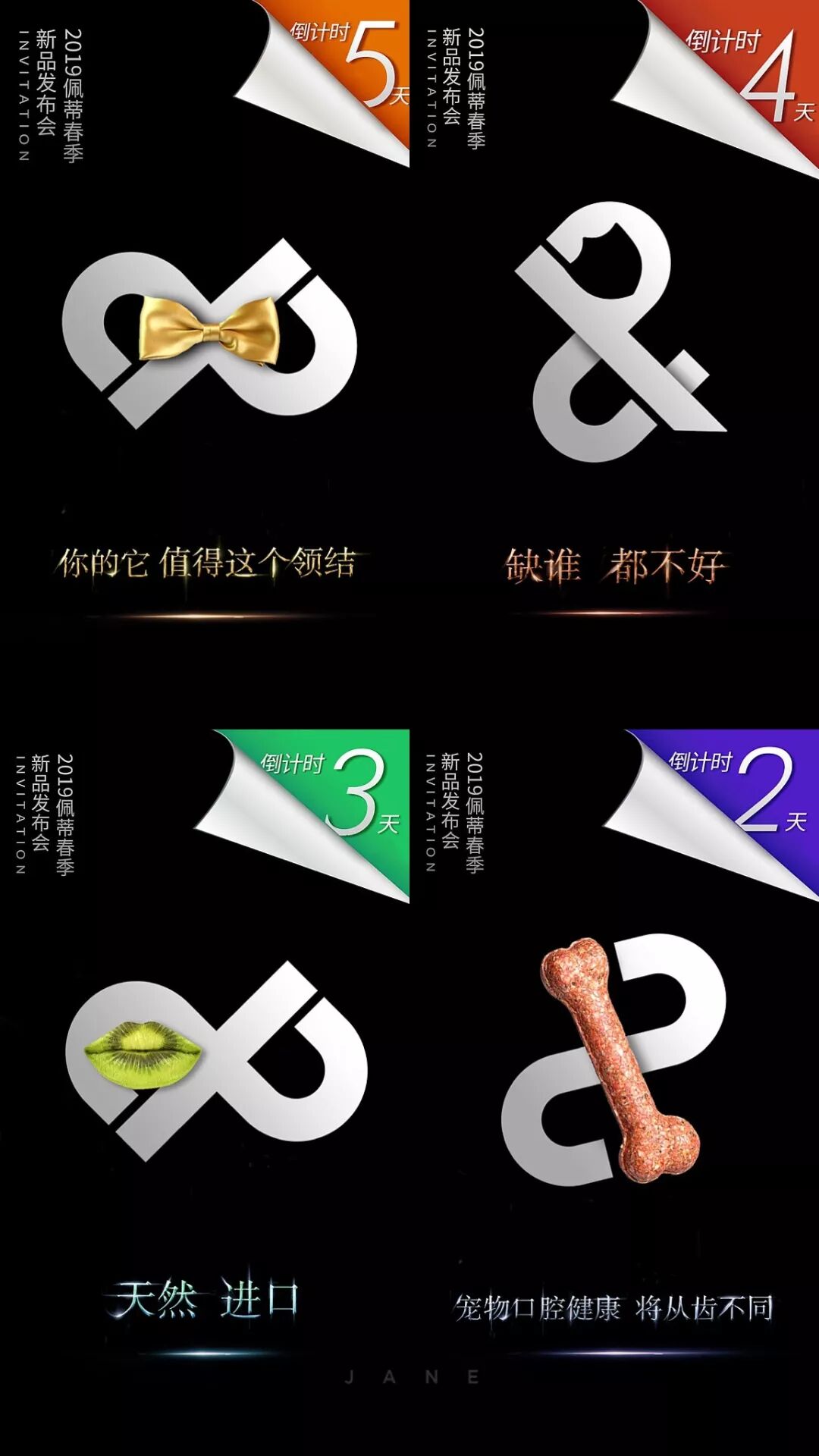 首個在鳥巢開的寵物發布會，佩蒂準備搞什麼事情？ 寵物 第3張