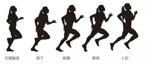 跑步对长高究竟有什么好处
