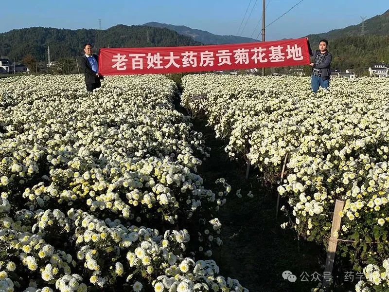 2024年07月28日 老百姓股票