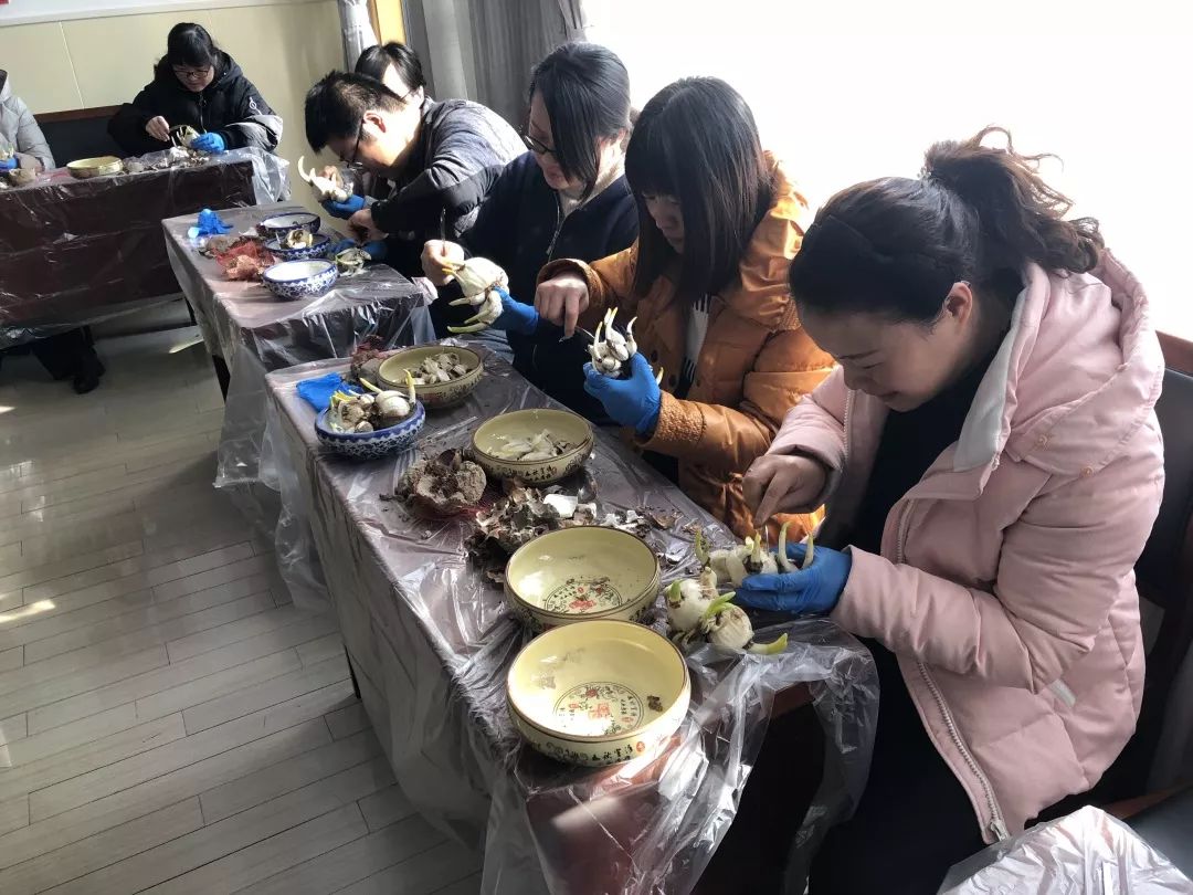 （工会活动）水仙花的雕刻和造型工会活动