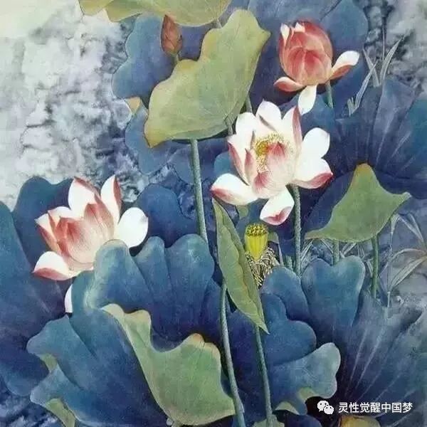 做华莱：三观不合，永远不会是一路人！