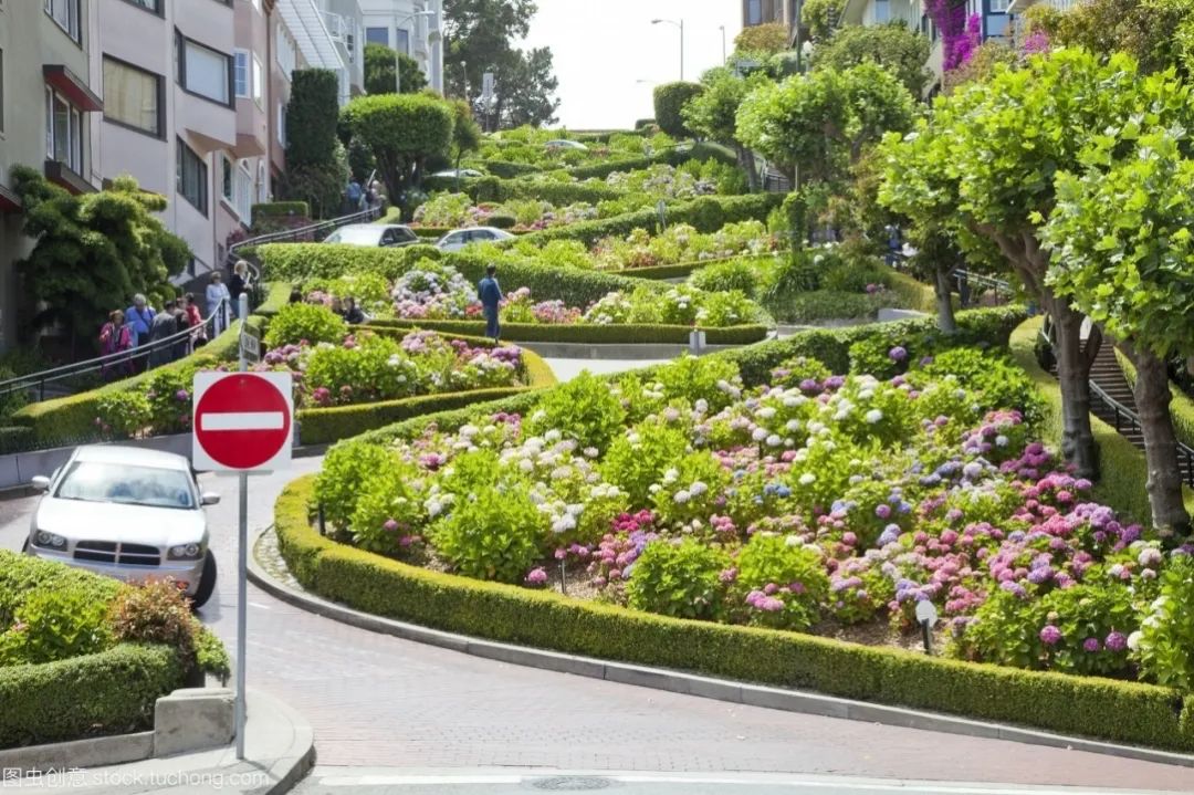 【景立方绿皮书】第八期|玩转竖向高差场地里的那些植物【上篇】 【景立方绿皮书】第八期|玩转竖向高差场地里的那些植物【上篇】