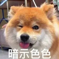 国外成人直播_国外成人直播_国外成人直播