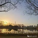 两个儿子送加拿大，自己孤独终老疗养院，撒贝宁一句话戳中心窝子…