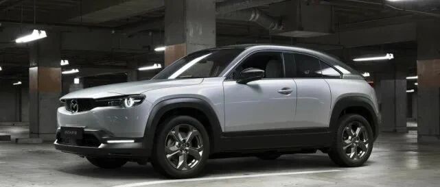 “价格屠夫”再出手！11万能买小号汉，16万可提特斯拉？