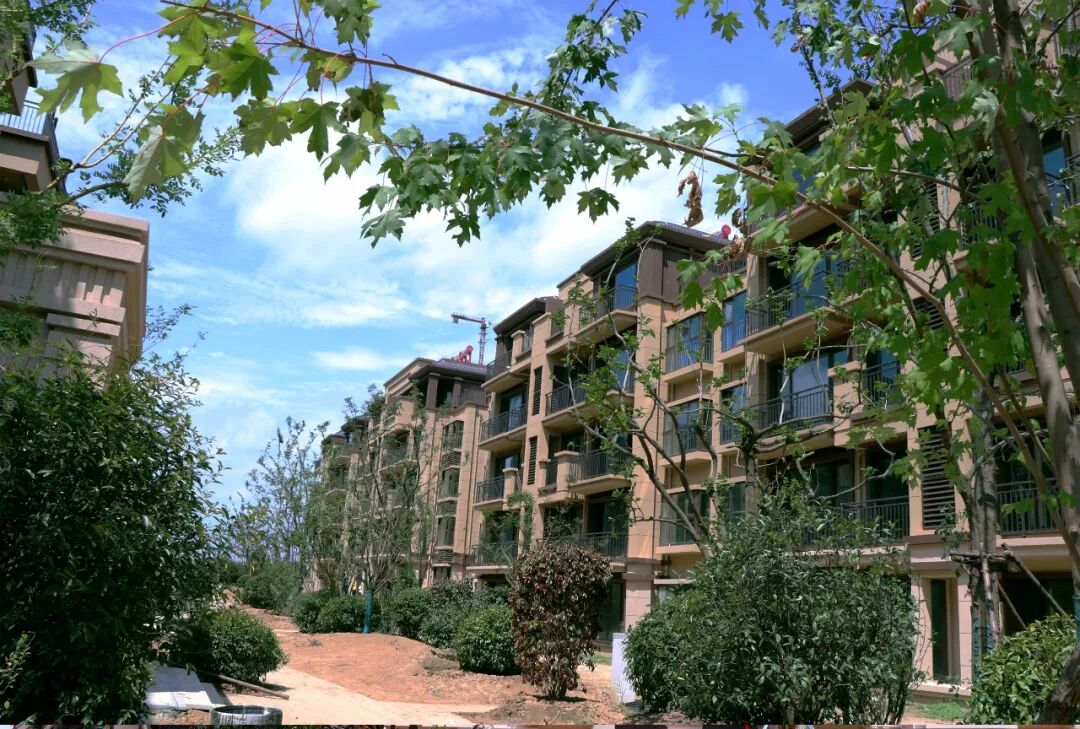 万城花开丨5米层高百变储藏室,多一室才能少一事! - 定陶房产网