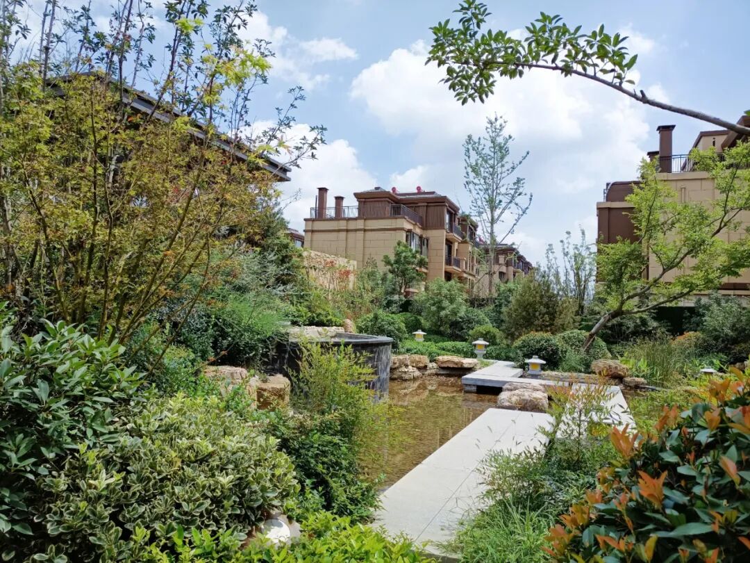 万城花开丨月满中秋指尖团圆本周日冰皮月饼diy定制浓情时刻