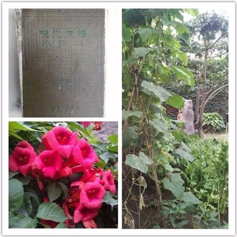 江行无题钱珝带拼音及译文（江行无题古诗拼音版注释）