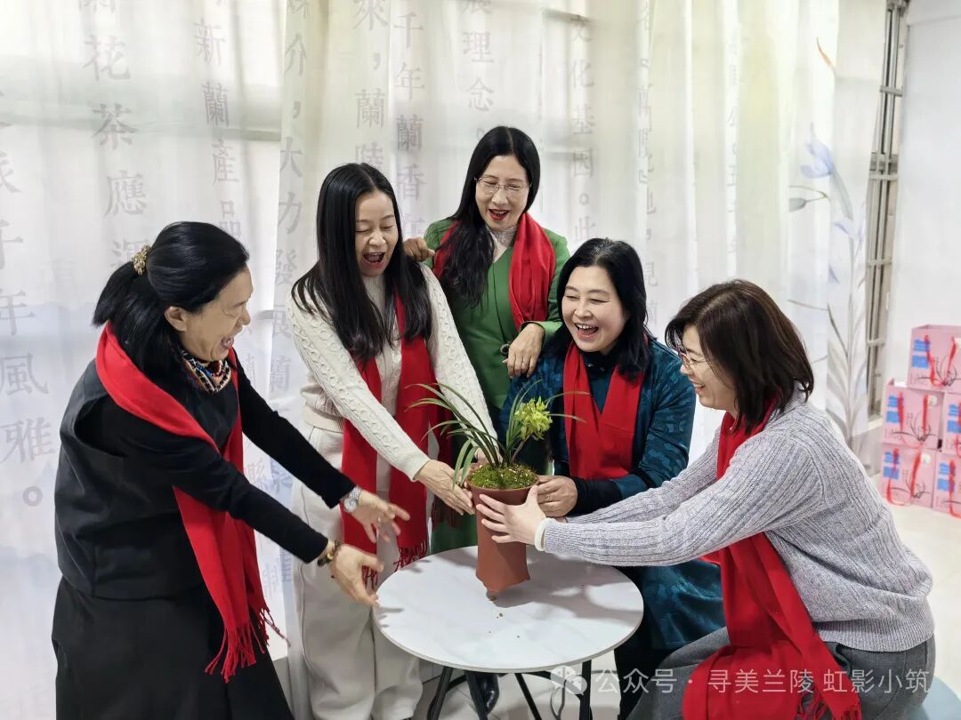 [图文]兰茶雅会记——雨润兰香迎马年，茶聚雅韵贺新春 第 13 张