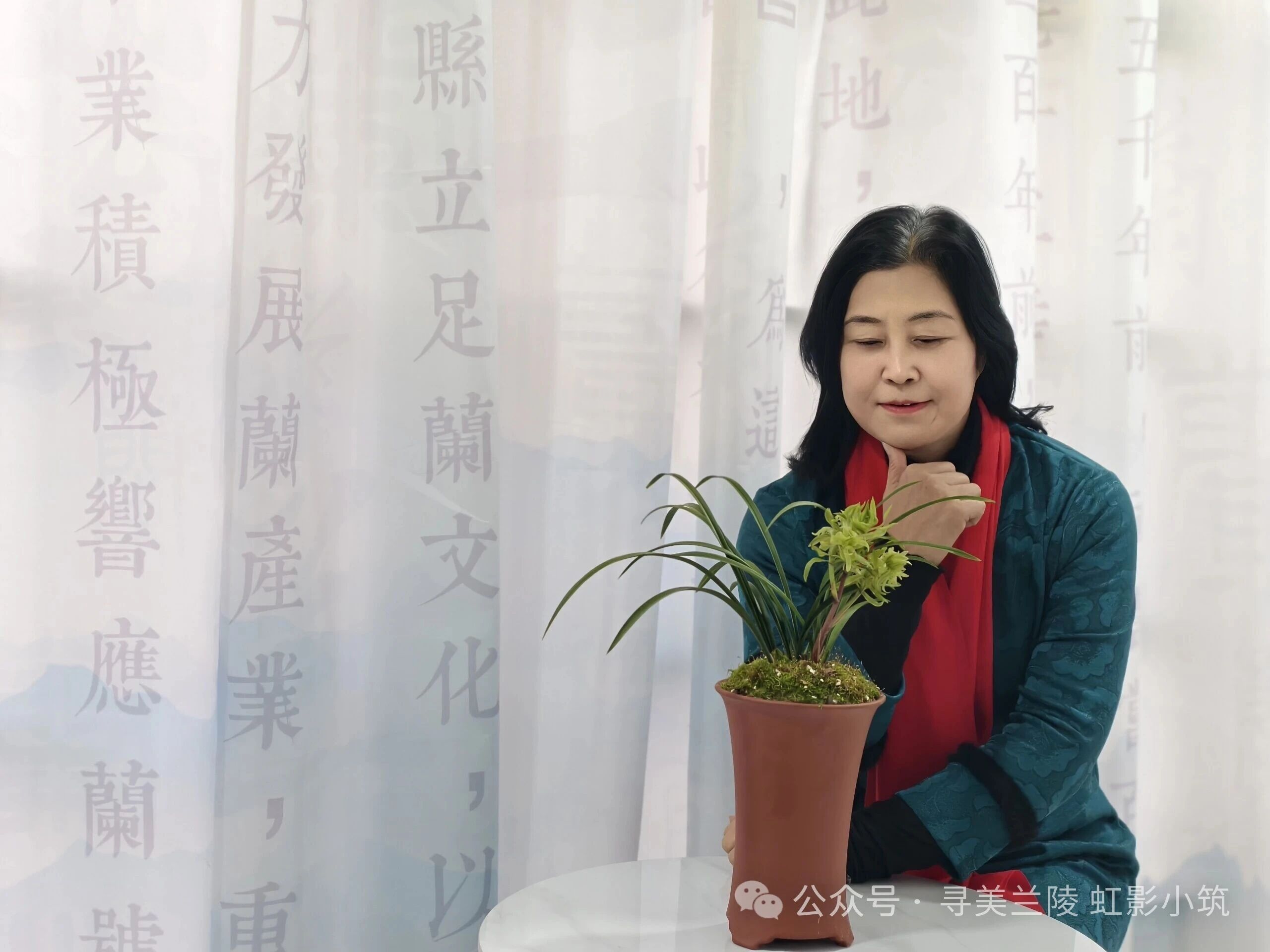 [图文]我用看孙子的眼神赏兰花品兰茶——在樊士歌兰茶雅会有感 第 1 张