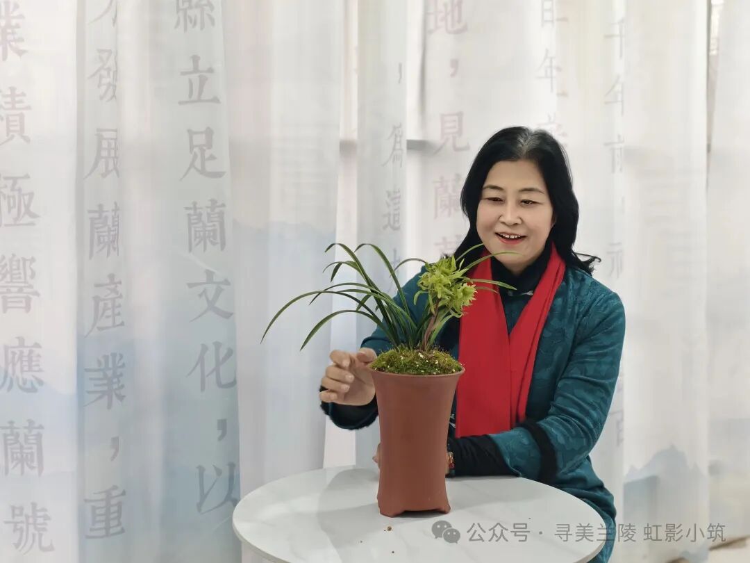 [图文]兰茶雅会记——雨润兰香迎马年，茶聚雅韵贺新春 第 4 张