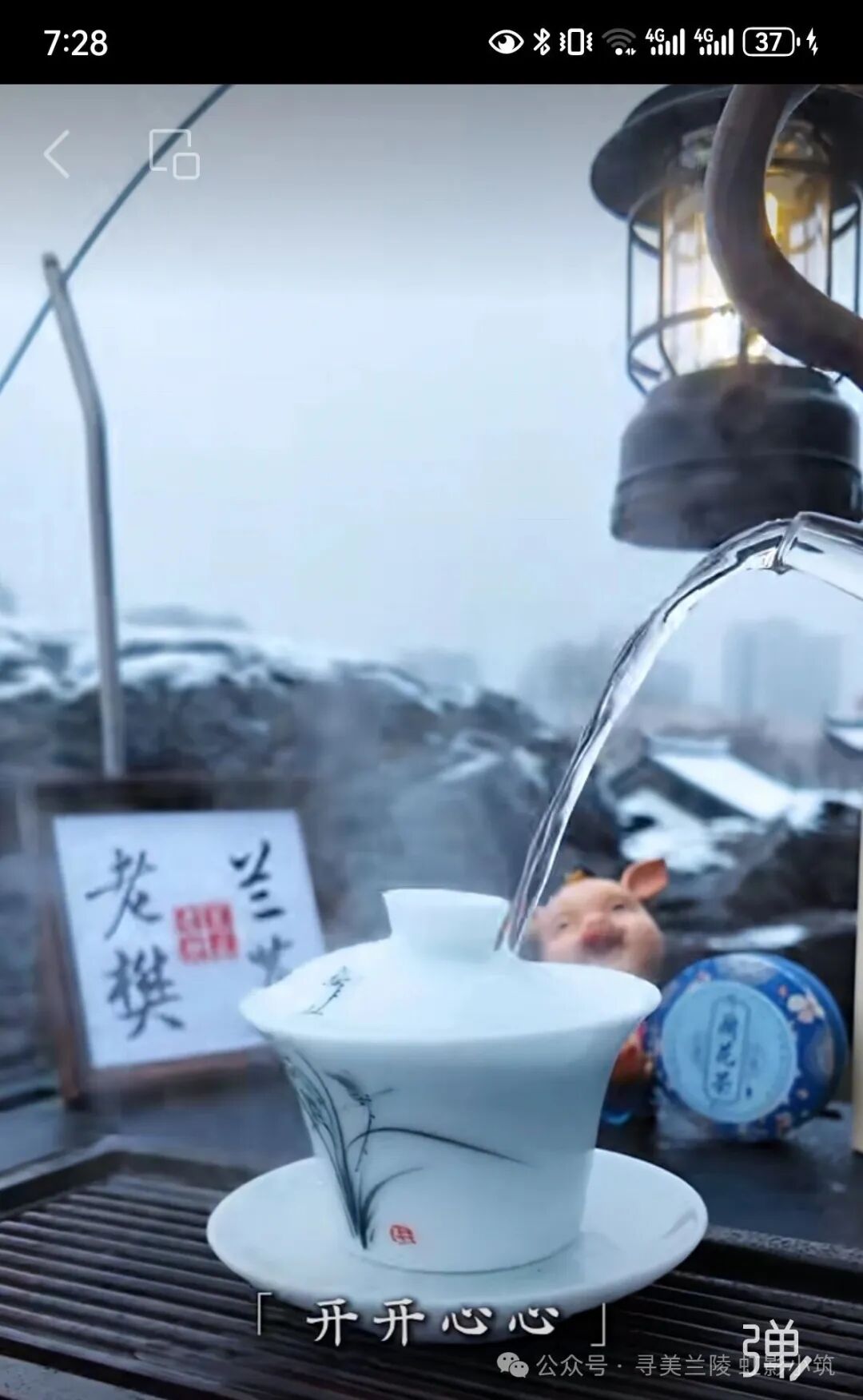 [图文]兰茶雅会记——雨润兰香迎马年，茶聚雅韵贺新春 第 7 张