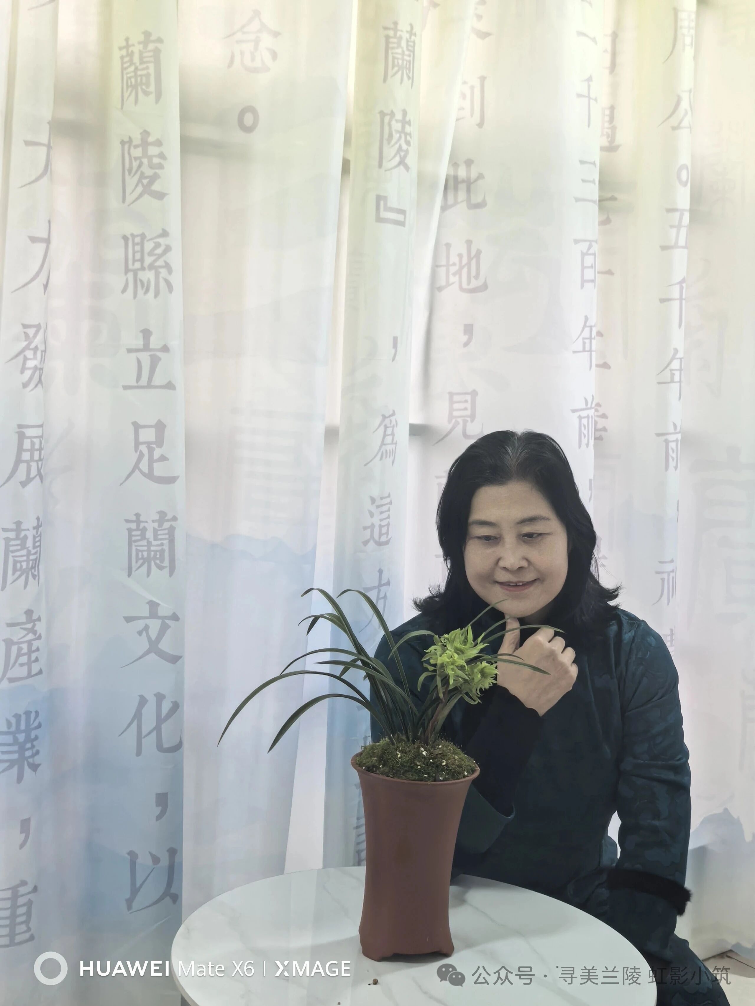 [图文]我用看孙子的眼神赏兰花品兰茶——在樊士歌兰茶雅会有感 第 3 张