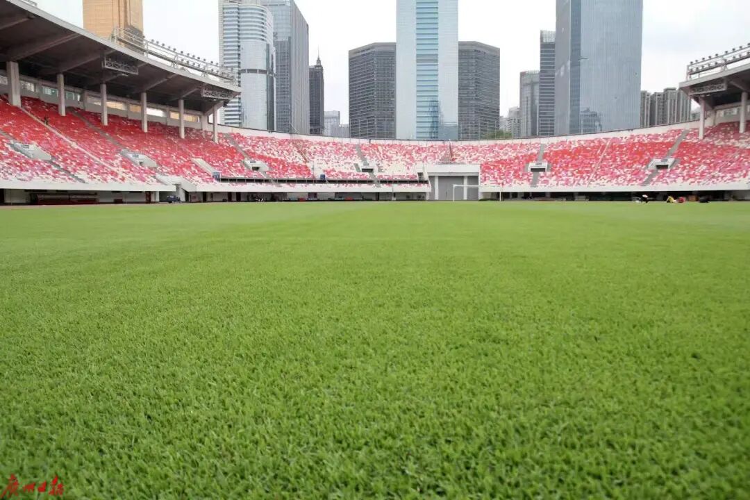 广州全市新建或改建10个体育公园！