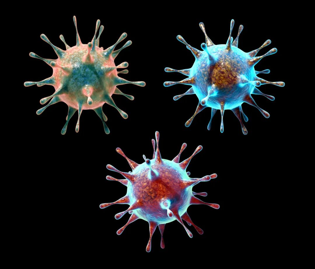 阳性多名学生食堂用餐后确诊诺如病毒感染