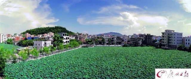 广州莲溪图片