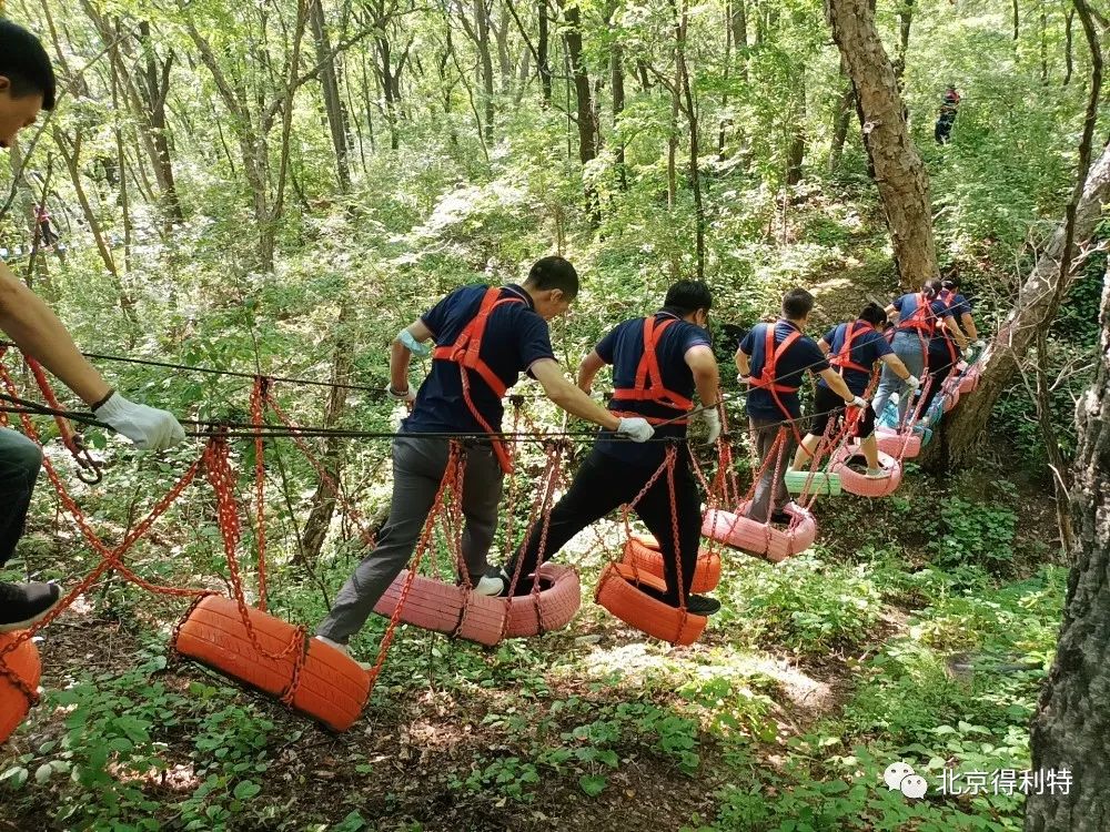 与得利特同行，遇到更好的自己|2022得利特（北京）科技有限公司年中团建活动圆满结束！