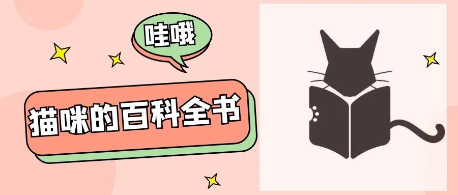 猫怎么吃鸡蛋