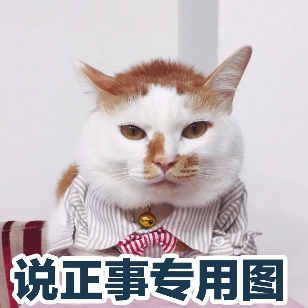 用感冒药就能轻轻松松毒死猫？_病症_维宠宠物导航网