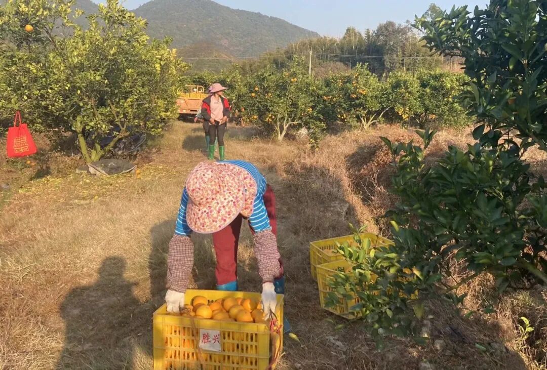 柳丁 东江学习社 科技新闻