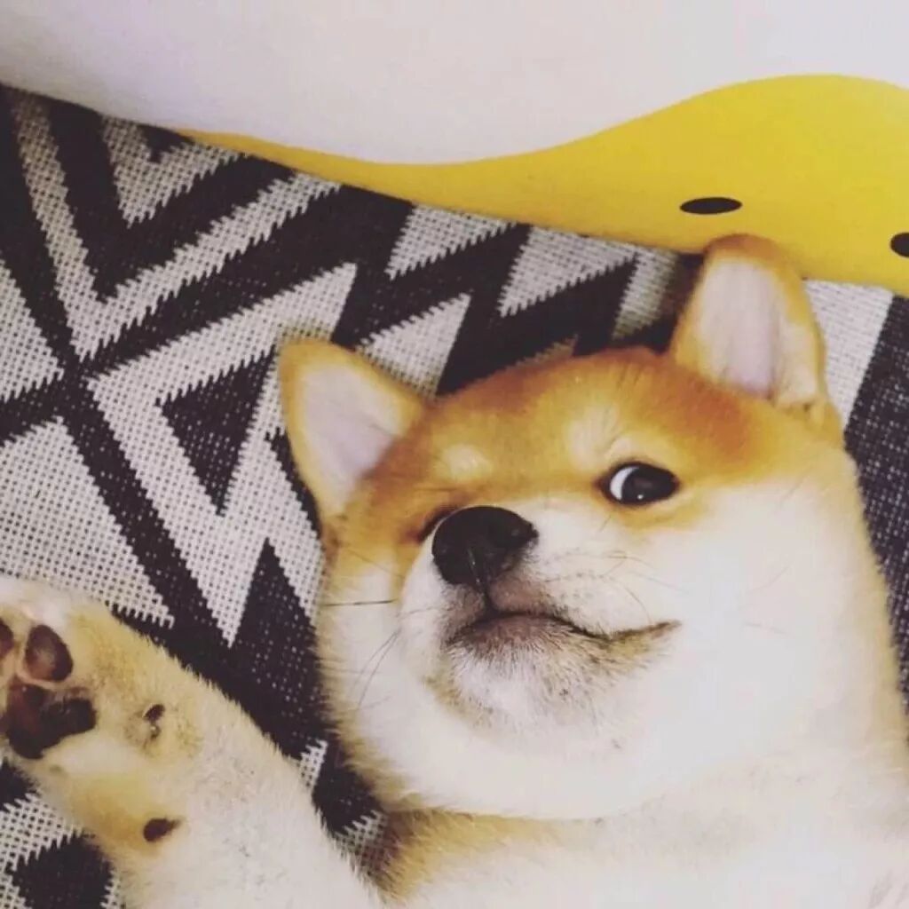 壁纸大全 情侣网名 微信公众号文章阅读 Wemp