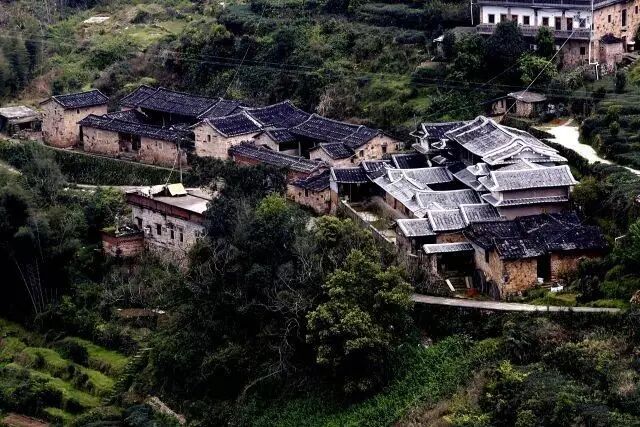 传统古村落群春光正盛,茶园吐馨,4月29日,安溪铁观音发源地—西坪镇.