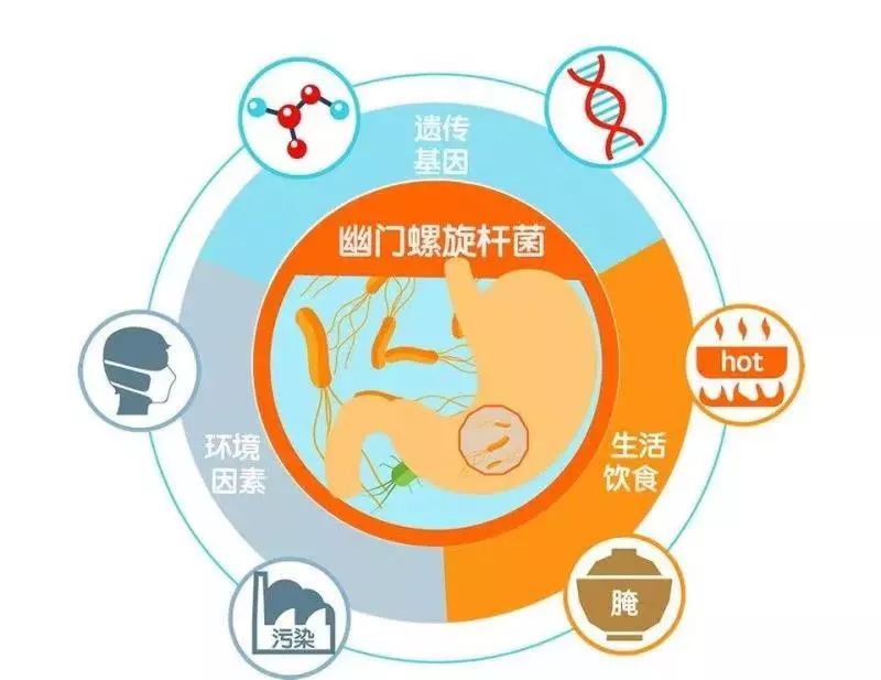 幽门螺旋杆菌不可怕，药师教你选好药