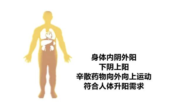 医用消疤贴怎么用大白话说中医第五百八十四期｜秦艽加上白僵蚕，祛斑消疤不麻烦_https://www.jmylbn.com_新闻资讯_第27张