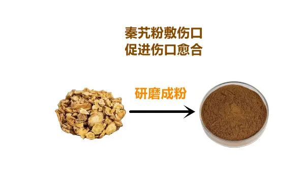 医用消疤贴怎么用大白话说中医第五百八十四期｜秦艽加上白僵蚕，祛斑消疤不麻烦_https://www.jmylbn.com_新闻资讯_第11张