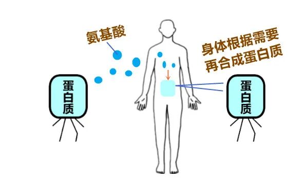 医用消疤贴怎么用大白话说中医第五百八十四期｜秦艽加上白僵蚕，祛斑消疤不麻烦_https://www.jmylbn.com_新闻资讯_第19张