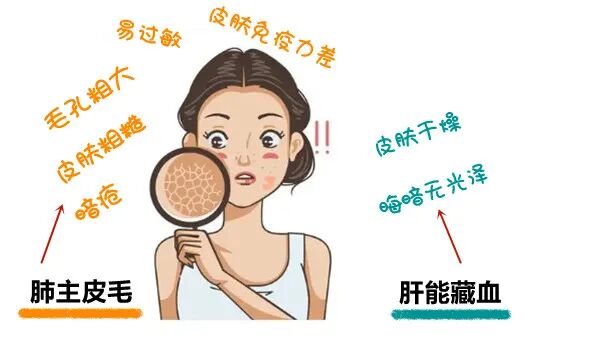 医用消疤贴怎么用大白话说中医第五百八十四期｜秦艽加上白僵蚕，祛斑消疤不麻烦_https://www.jmylbn.com_新闻资讯_第25张