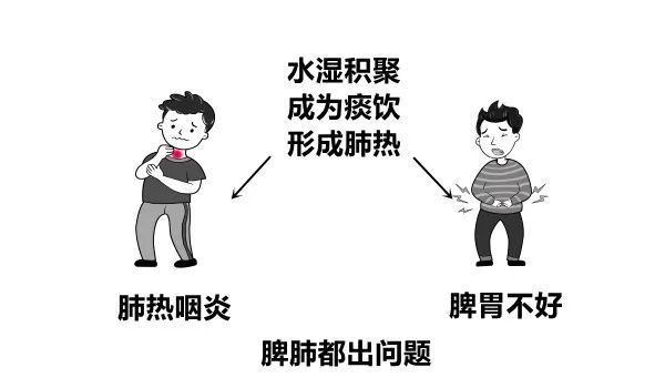 大白话说中医第三百八十三期|脾肺问题致痰生，厘清关节清热症