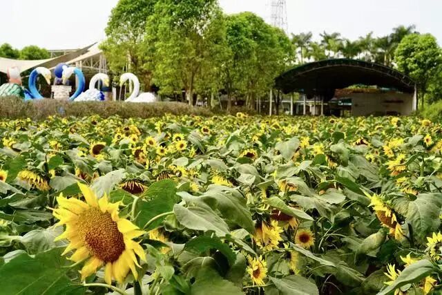 全科健康长寿论坛暨“2023爱脑行动”公益活动启幕