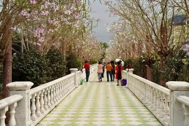 全科健康长寿论坛暨“2023爱脑行动”公益活动启幕