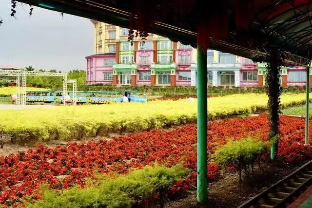 全科健康长寿论坛暨“2023爱脑行动”公益活动启幕