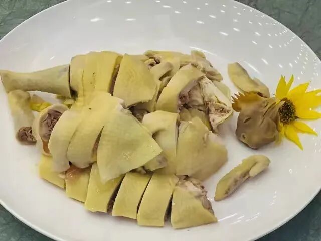 全科健康长寿论坛暨“2023爱脑行动”公益活动启幕