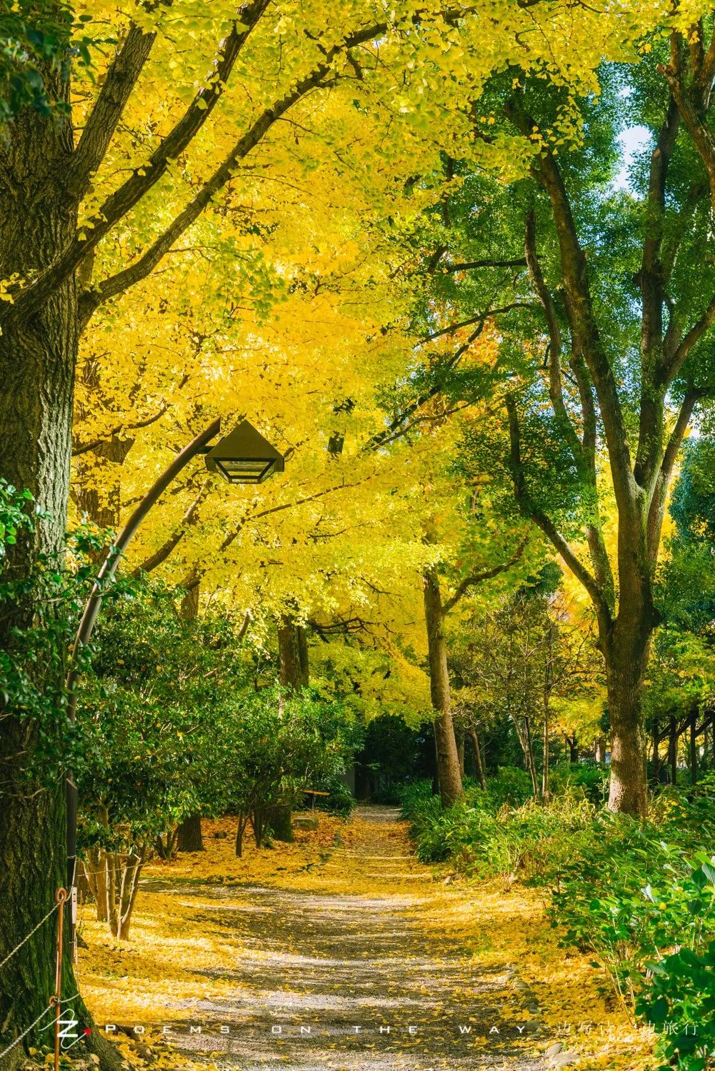 日比谷公園 東京秋色一隅 一邊寫詩一邊旅行 微文庫
