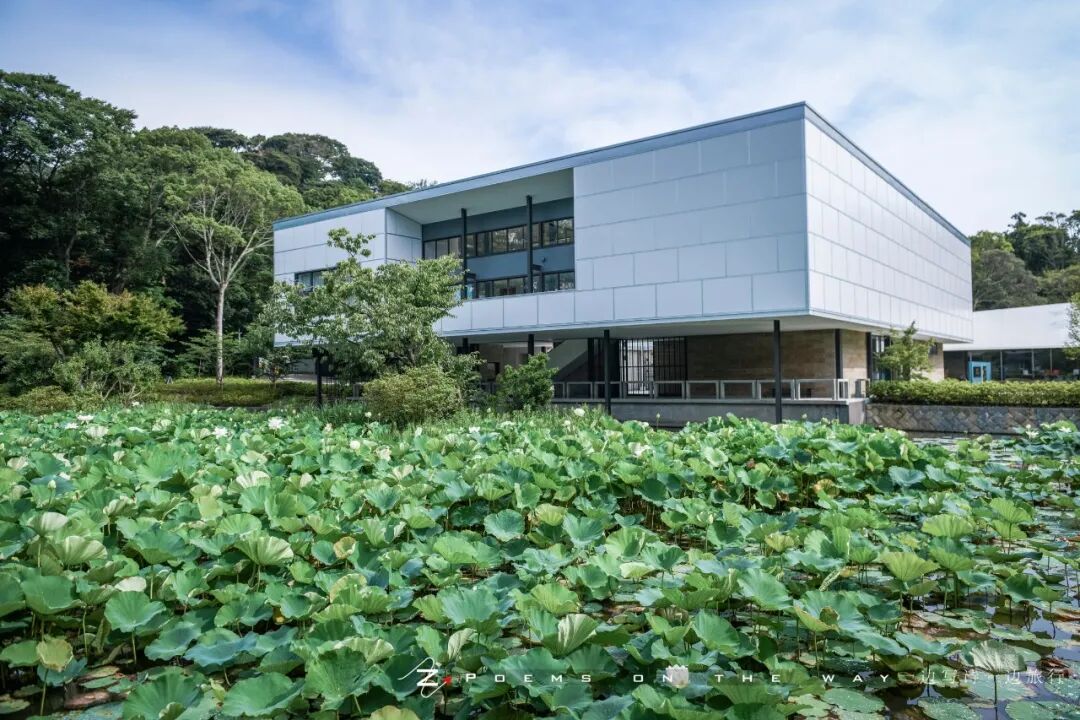 镰仓散步 古寺莲叶何田田 一边写诗一边旅行 微信公众号文章阅读 Wemp