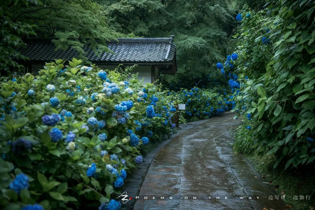 镰仓 最难忘却明月蓝 一边写诗一边旅行 微信公众号文章阅读 Wemp